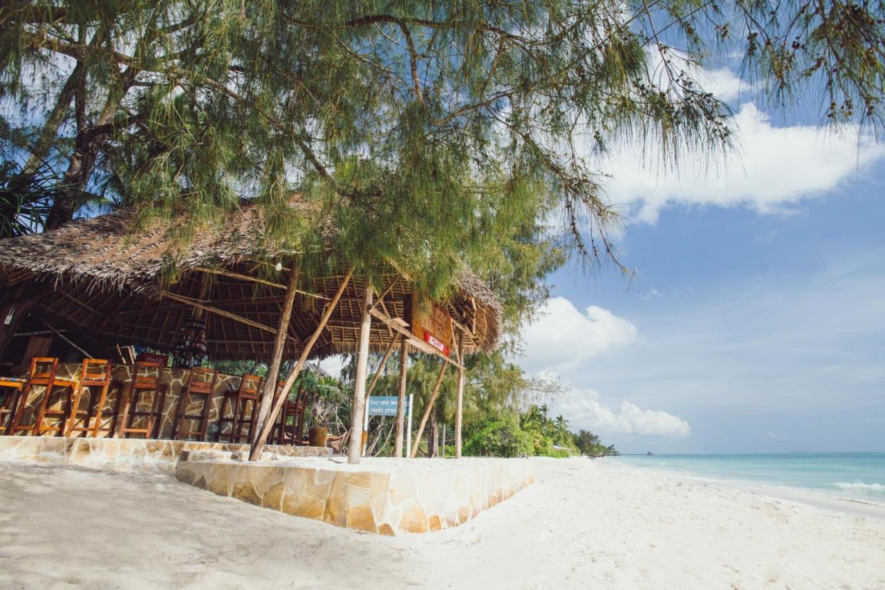Cast Away Residence Kiwengwa (Zanzibar) Exterior foto